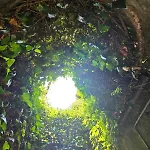 펜션 Le Allegre Comari Di Nesso, Casa E Benessere 네소