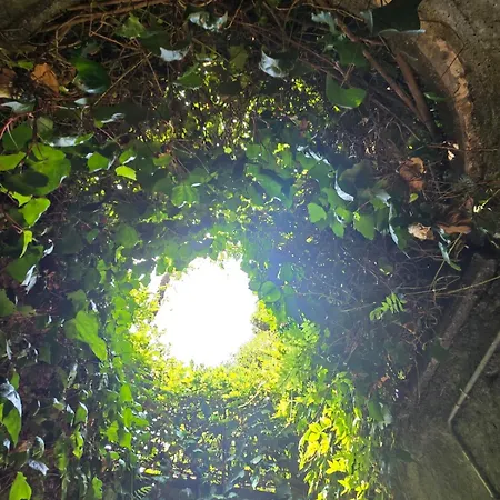 Dom wakacyjny Le Allegre Comari Di Nesso, Casa E Benessere Nesso